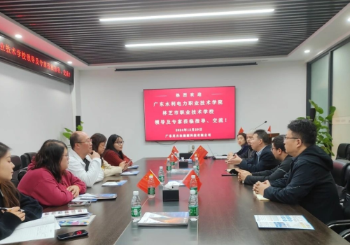 粤-藏3+3中高职教师联合培养项目组莅临公司调研交流